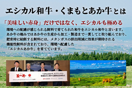 【エシカル和牛】くまもと あか牛【あか牛の極み】バラ焼肉 200g×3 (計 600g)  033-0514