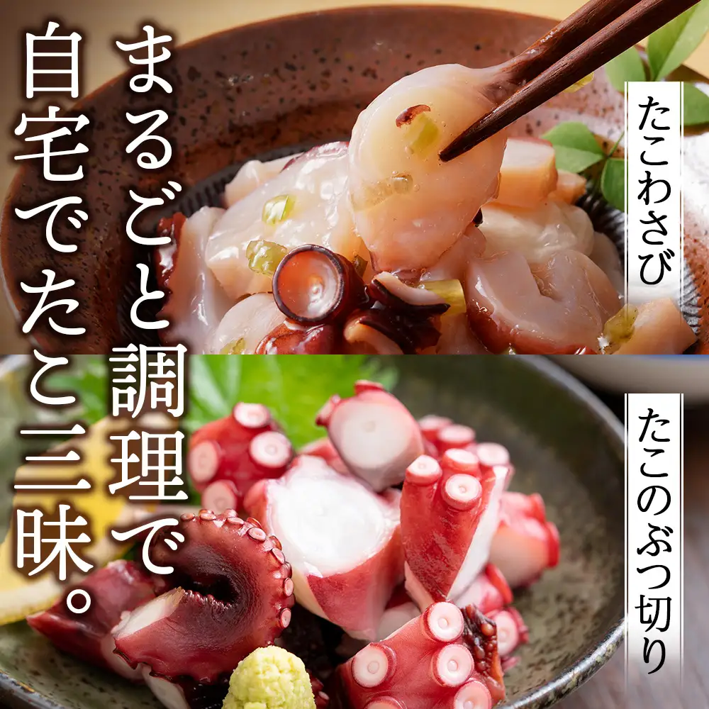 北海道天塩町 煮たこ 足 700ｇ前後＜天塩の國＞