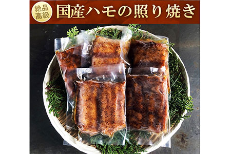 鱧の照り焼き(100g×5切れ)【冷凍】【A-44】