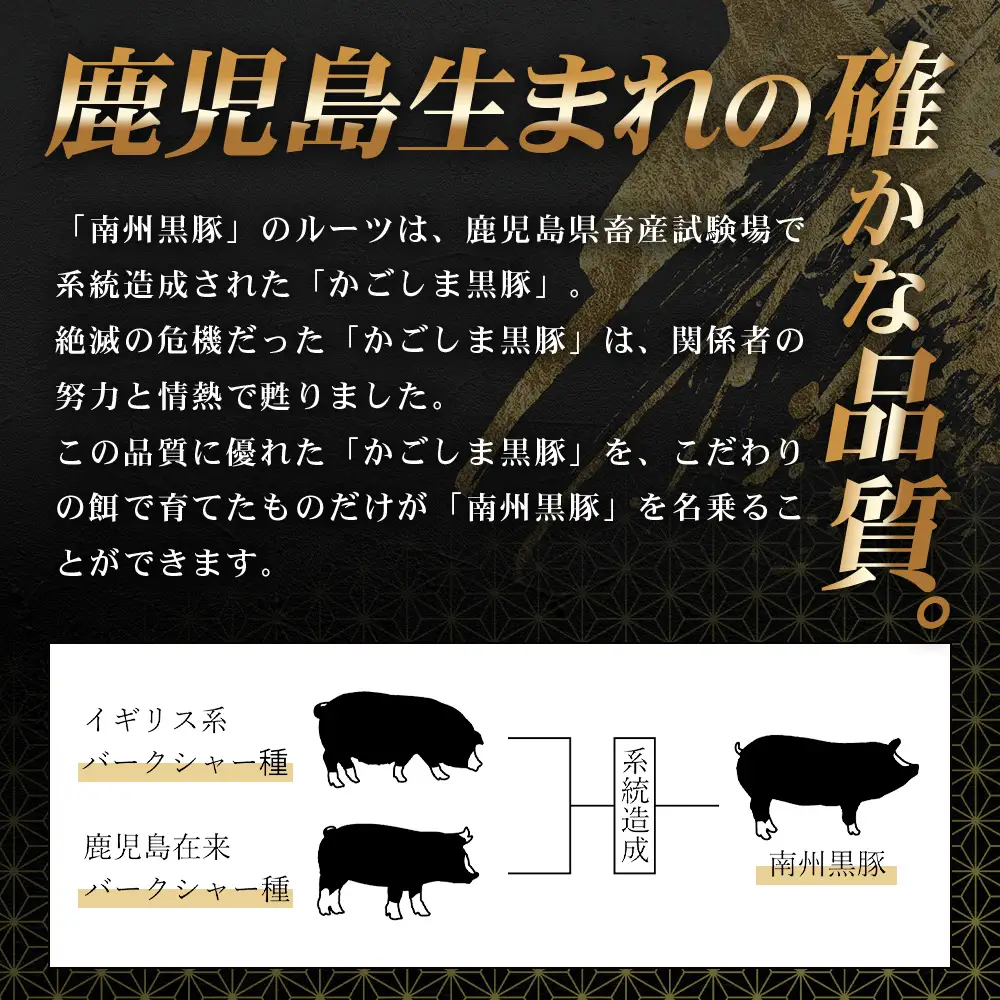 鹿児島県産 BBQ-BOX Ⅱ ハム ソーセージ ベーコン 詰め合わせ セット NS-25 | かごしま 黒豚 生ハム ボロニア ウインナー ソース ジャーキー おつまみ バーベキュー 焼き肉 低添加製法 冷蔵 鹿児島県 南大隅町 南州農場