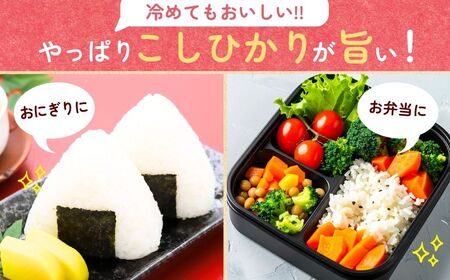 【令和7年度産】横田農場の特別栽培米コシヒカリ 5kg | こしひかり 特別栽培 茨城県 龍ケ崎市