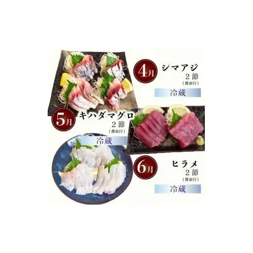 【 刺身 】 刺身定期便12ヶ月