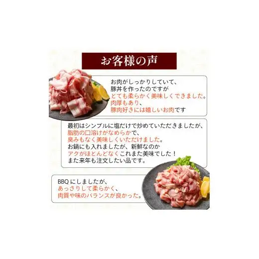 【豚肉スライス】鶏肉 と 豚肉 の セット 計1.3kg ( 鶏もも肉 1kg と 豚肉 スライス 300g )