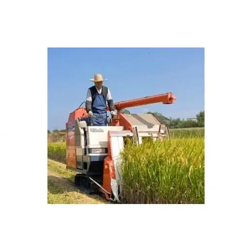 【 定期便 6回 】《 令和7年産 》千葉県産 コシヒカリ 20kg ／ 米 こめ コメ お米 おこめ コシヒカリ こしひかり 令和7年 白米 精米 ごはん 20kg 定期便 送料無料