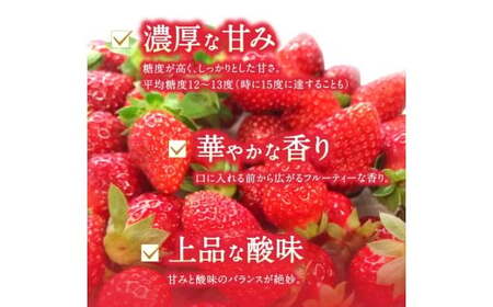 ブランド苺 新鮮 古都華 (大粒) 約1000g [250g×4パック] 【2027年1月上旬～5月下旬に順次発送】／ スマイル葛城農業 ブランド いちご 苺 ことか イチゴ スイーツ フルーツ 甘い 果物 奈良県 葛城市【smlk002】