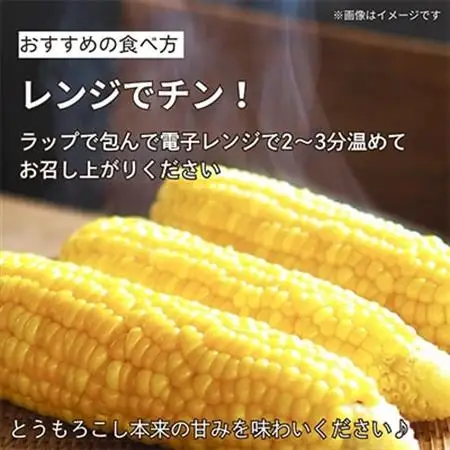 京都府久御山町 とうもろこし 10本【配送不可地域：離島・北海道・沖縄県・東北】【1666122】