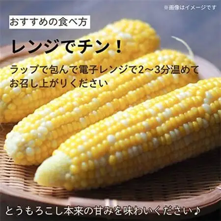 京都府久御山町 とうもろこし バイカラー 10本 朝採れコーン【配送不可地域：離島・北海道・沖縄県・東北】【1666123】