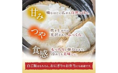 白米  葛城山麓米 ヒノヒカリ計2kg [ 2kg×1袋 ] 令和8年産 【smlk011A】