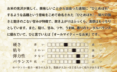 令和7年産　純情米いわて　岩手県産　さくらひとめぼれ　5kg/ブランド米 ひとめぼれ 美味しいお米 コメ こめ 精米 産地直送 厳選 鮮度 旬 白米 ごはん おにぎり めし モチモチ ふっくら 安心 安全 予約 人気 お取り寄せ 高評価 岩手県 ふるさと 田舎