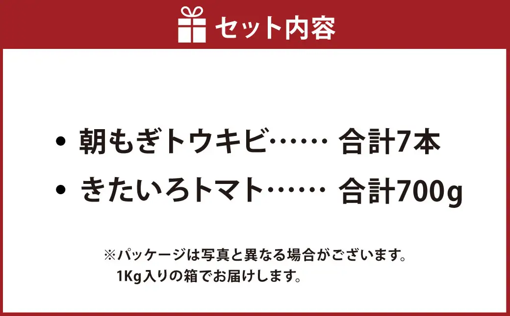 きたいろトマト 700g 朝もぎトウキビ 7本 セット 【2026年8月上旬～9月上旬迄発送予定】 トマト とうもろこし トウモロコシ 野菜 朝採れ オーガニック