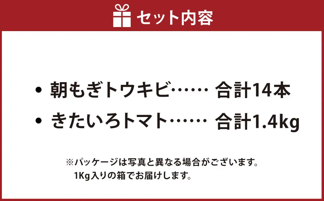 きたいろトマト （1.4kg）と 朝もぎトウキビ （14本）のセット 【2026年8月上旬～9月上旬発送迄予定】 トマト とうもろこし トウモロコシ 野菜 朝採れ オーガニック