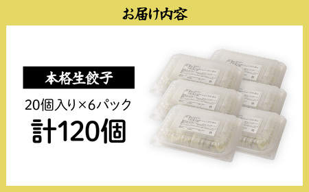 餃子 生餃子 120個 | ぎょうざ 冷凍 北本フーズ