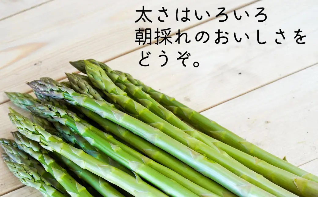 アスパラ 約800g M～2L 【2026年4月下旬～6月下旬迄発送予定】