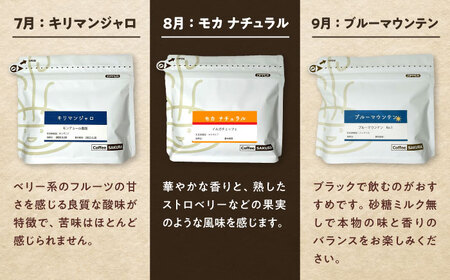 【全12回定期便】世界を旅するコーヒー(豆) / 珈琲 コーヒー / Coffee SAKURA[BBAB150]