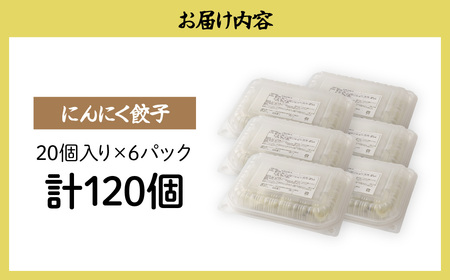餃子 にんにく餃子 120個 | ぎょうざ 冷凍 北本フーズ