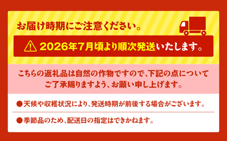 【 三浦 農家 直送 】くるめ メロン（2個入り） M003-006 【 期間限定 】 果物 メロン
