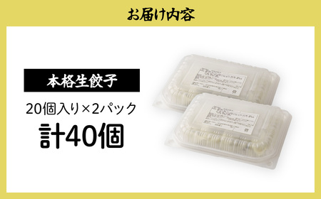 餃子 本格生餃子 40個 | ぎょうざ 冷凍 北本フーズ