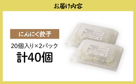 餃子 にんにく餃子 40個 | ぎょうざ 冷凍 北本フーズ