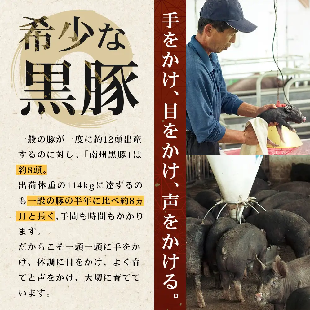 鹿児島県産 BBQ-BOXⅠ ハム ソーセージ ベーコン 詰め合わせ セット NS-24 | かごしま 黒豚 生ハム ボロニア ウインナー ソース ジャーキー おつまみ バーベキュー 焼き肉 低添加製法 冷蔵 鹿児島県 南大隅町 南州農場
