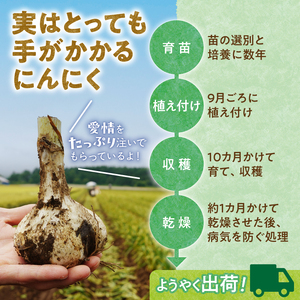 【北海道産】十勝育ちのにんにく バラ4kg _S021-0025