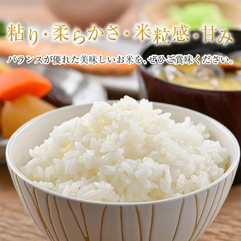 【令和7年産】定期便3回 いちほまれ 無洗米 2kg×3袋×3回（18kg）／ 福井県産 ブランド米 ご飯 白米 新鮮 [aw064-f007]