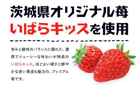 ビール キッスエール 330ml×6本 株式会社結城麦酒《30日以内に出荷予定(土日祝除く)》茨城県 結城市 ビール 酒 エール クラフトビール 瓶 敬老の日 国産 いちご