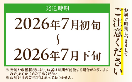 ボリューム 満点 ！ 季節の野菜 詰め合わせ（ 夏 ） M001-004-01 野菜 三浦野菜