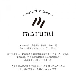 marumiカトラリー デザートスプーン 2本　創業80年 精密加工メーカーの技術から生まれた1本
