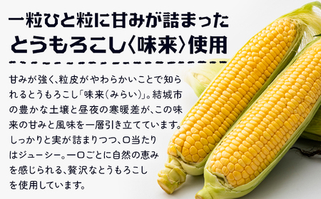ビール ゆうきみらいエール 330ml × 6本 株式会社結城麦酒《30日以内に出荷予定(土日祝除く)》茨城県 結城市 ビール 酒 エール クラフトビール 瓶 国産
