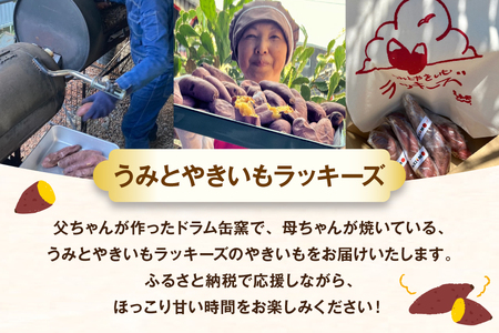 【期間限定発送】 焼き芋 「元気が出るやきいも（フローズン）」紅はるか 1kg 冷凍 [うみとやきいもラッキーズ 静岡県 吉田町 22424683]