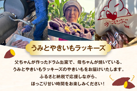 【期間限定発送】 焼き芋 「元気が出るやきいも（フローズン）」紅はるか 500g 冷凍 [うみとやきいもラッキーズ 静岡県 吉田町 22424682]