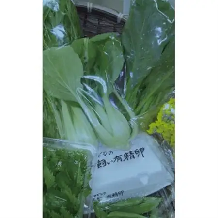 自然のまま育った野菜7種類と平飼有精卵のセット【配送不可地域：離島】【1407484】