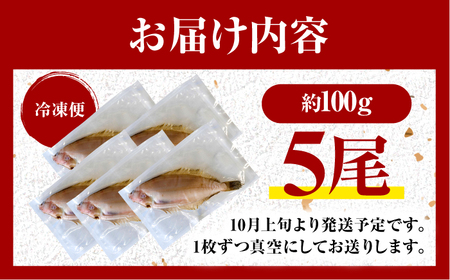  献上鰈 上品な味わい 若狭かれい一夜干し 約100g×5尾セット / 干物 魚介 冷凍 ギフト 小浜市 / まるほ商店 【配送不可地域：北海道・沖縄・離島】[BFCS059]