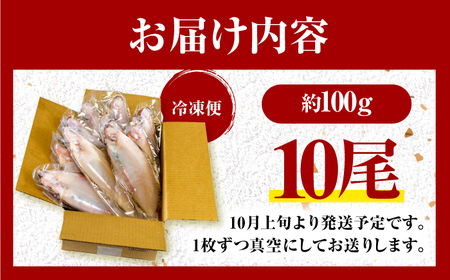  献上鰈 上品な味わい 若狭かれい一夜干し 約100g×10尾セット / 干物 魚介 冷凍 ギフト 小浜市 / まるほ商店 【配送不可地域：北海道・沖縄・離島】[BFCS060]