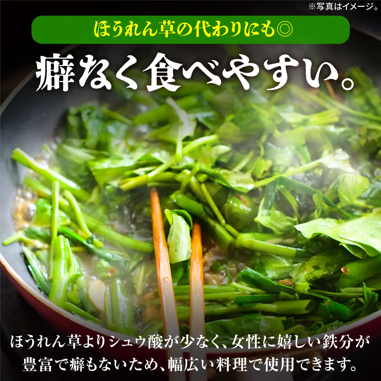 新鮮朝採れ くうしん菜 大容量パック 20袋 / 葉物野菜 / 亀山市 / グリーンハウス吉田[AMCD001]