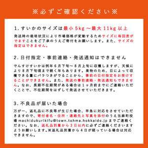 でんすけすいか優品（でんすけピュアゼリー3個とでんすけドロップス1個付き）【A-038】