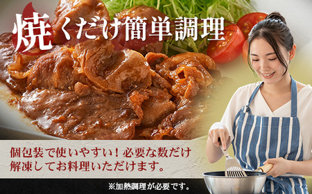 鹿児島県産 黒豚生姜焼きセット（100g×6パック）味付き肉 冷凍 NS-22 | 鹿児島 黒豚 かごしま黒豚 お肉 肉 豚肉 しょうが焼き 焼くだけ 味付き おかず お弁当 加工肉 真空パック 鹿児島県 南大隅町 南州農場