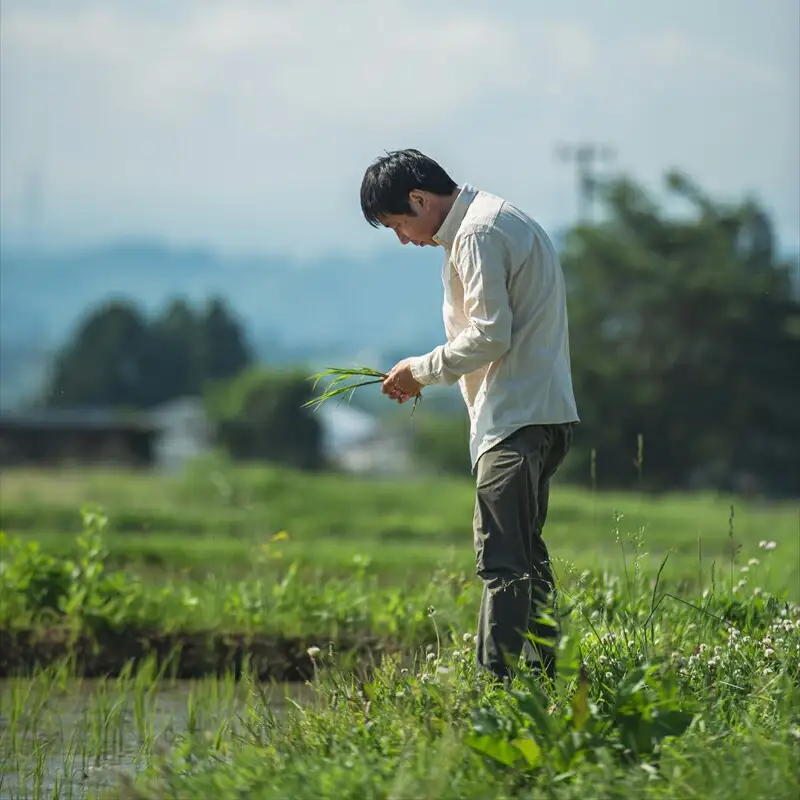 佐久の花酒造『純米大吟醸 八重原ひとごこち』720ml×1本（沖縄・離島配送不可）長野県　信州　地酒　日本酒　アルコール【 長野県 佐久市 】