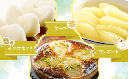 梨 なし 限定品種 荒尾梨 有宝 約1.8～2kg 果物 村上果樹園《8月上旬-8月中旬頃出荷》 熊本県 荒尾市 荒尾梨 早生 わせ なし ゆうほう