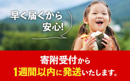 令和7年産 幸手市産 コシヒカリ 白米20kg 色彩選別済 White Rice- お米 米 こしひかり 精米 20kg 埼玉県 幸手市