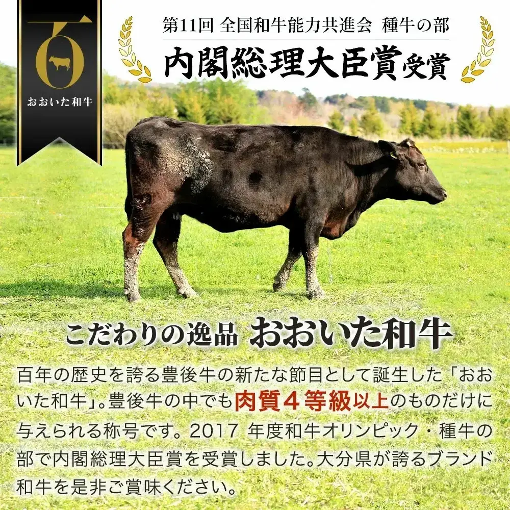 おおいた和牛 ヒレステーキ (2枚) | ステーキ ヒレ 津久見市