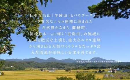 〈令和7年産〉らんこし米 食べ比べ （ななつぼし・ゆめぴりか） 各5kg【2025年10月下旬～2026年9月下旬発送予定】お米 米 精米 ななつぼし ゆめぴりか らんこし米