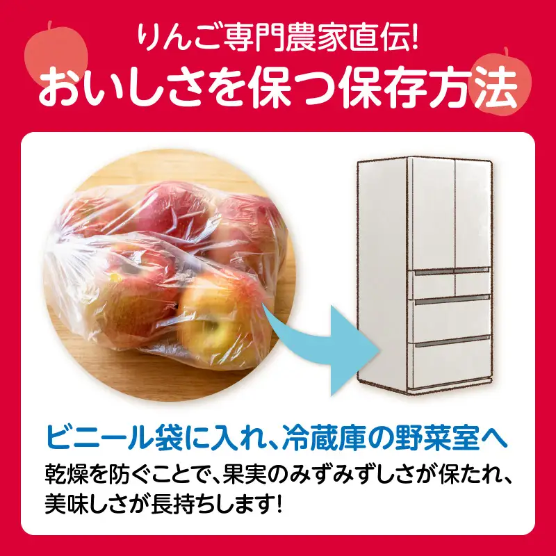 《先行受付》シナノスイート約5kg 【2026年10月上旬頃～発送予定】【山形県産りんご】 001-105