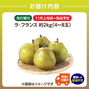 《先行受付》ラフランス 約2kg（4～8玉） 【2026年11月上旬頃～発送予定】【山形洋梨】 001-103