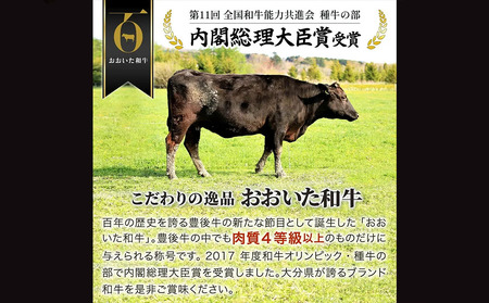 おおいた和牛 ヒレステーキ (10枚) | ステーキヒレ 津久見市