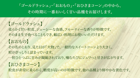桜川市産 とうもろこし 品種おまかせ 約4kg ( 11～13本 ) [FJ001sa]	