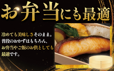 銀鱈西京漬け 10切 1kg 【西京漬け】