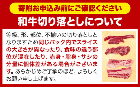 ホルスタイン 切り落とし 600g 牛肉 切り落とし