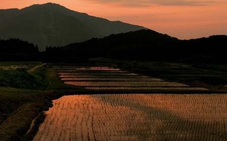 【令和7年産米】 こしいぶき 白米6kg（2kg×3） 新潟県村上市岩船産　1067102