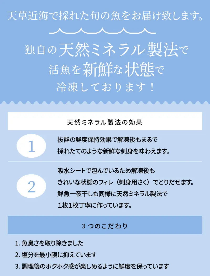 S059-005A_いつでも刺身 3魚種 3枚＆鮮魚一夜干し 3枚セット / 鮮魚 刺し身 お刺身 刺身 干物